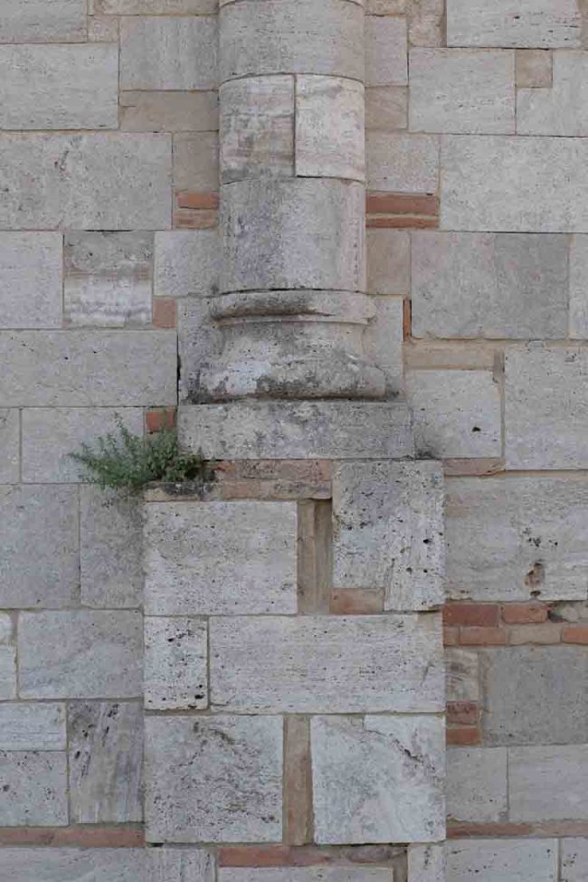 2020 – Colonna Van Doesburg